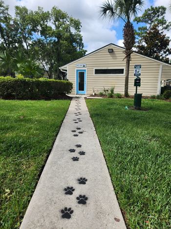 Walkway leading to a dog spa
